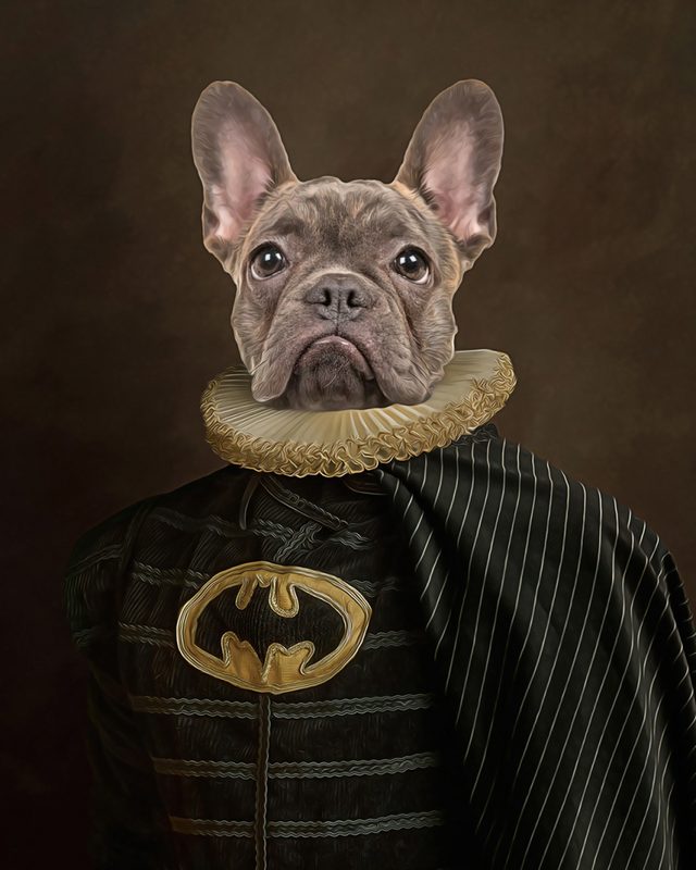 Portret ljubimca u kostimu Betmen (Batman)