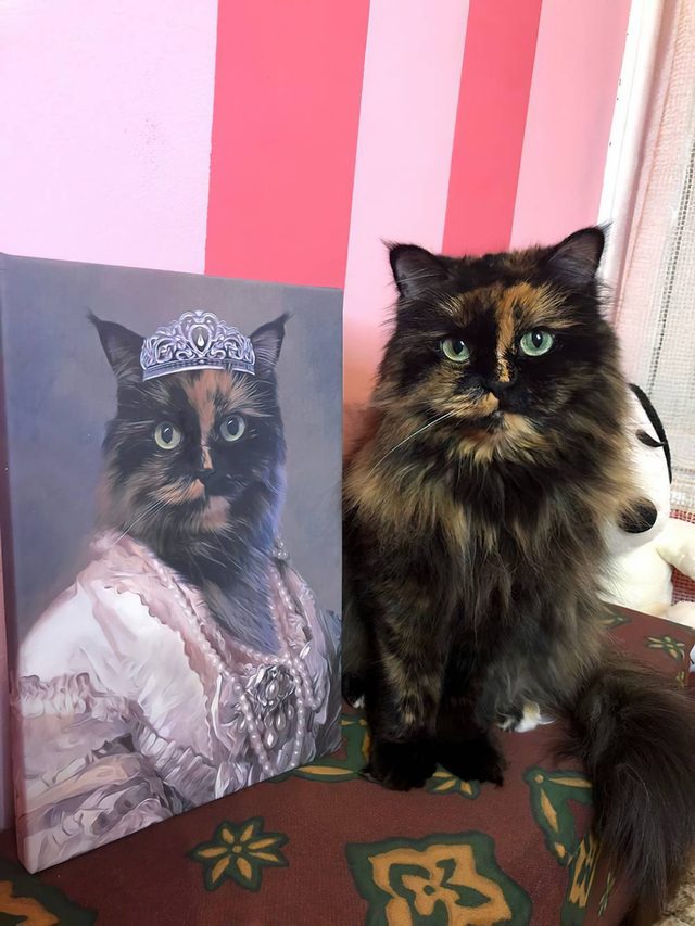 Kornjačasta mačka i njen portret u beloj haljini