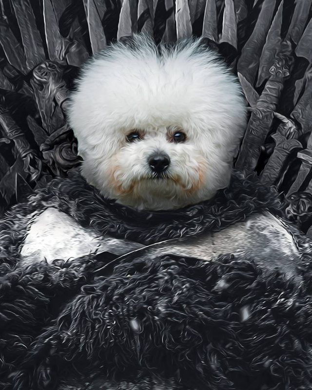 Portret ljubimca u kostimu Džon Snou (Game of Thrones)