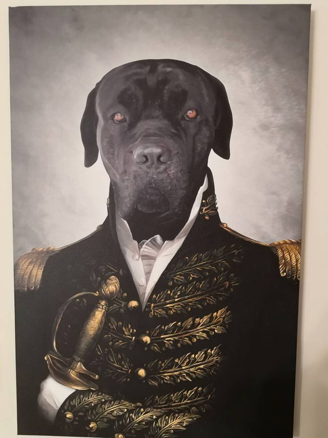 Kanvas sa crnim psom u generalskoj uniformi, naslonjen na zid