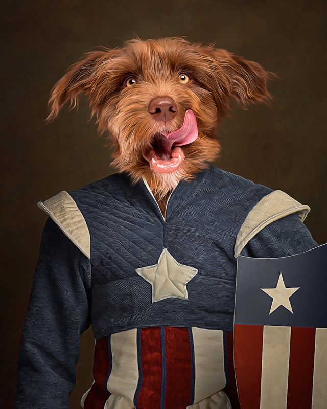Portret ljubimca u kostimu Kapetan Amerika (Captain America)