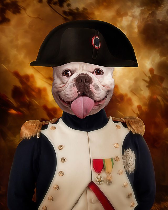 Portret ljubimca u kostimu Napoleon Bonaparte