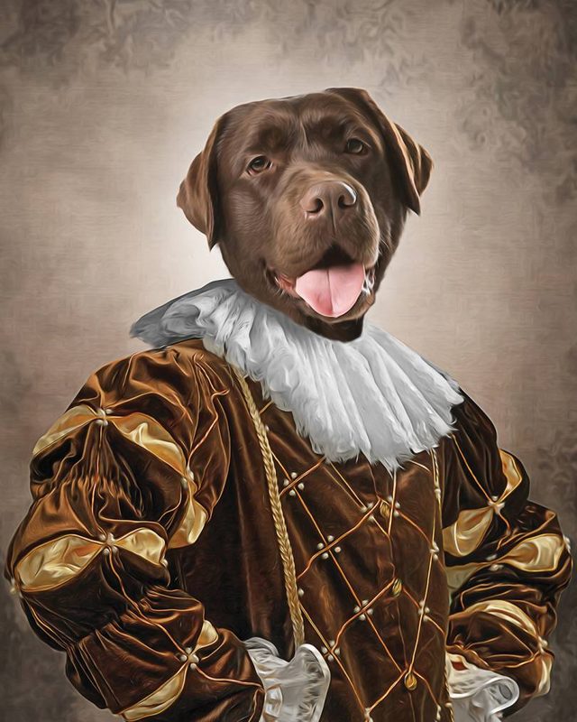 Čokoladni labrador kao dvorski sluga, u smeđem somotskom kaputu