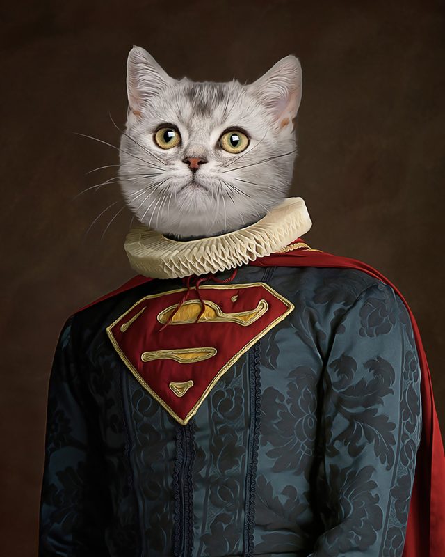 Portret ljubimca u kostimu Supermen (Superman)