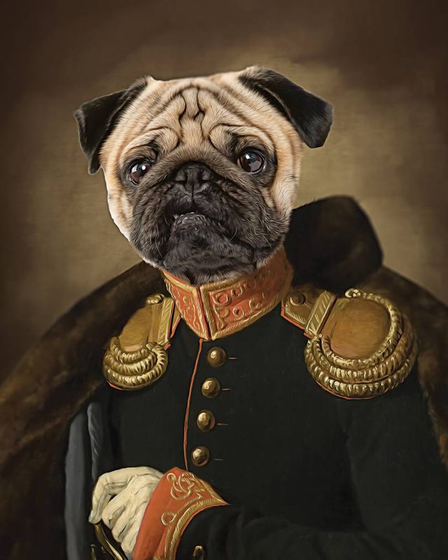 Portret ljubimca u kostimu Veteran