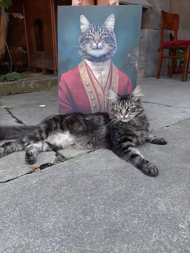 Isti mačak i njegov portret Vezir, snimljeni iz drugog ugla